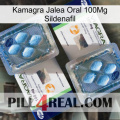 Kamagra Oral Jelly 100Mg Sildenafil viagra5